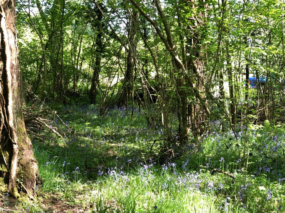 Coed Y Marchog Woodland Retreat Villa Hereford Exterior foto