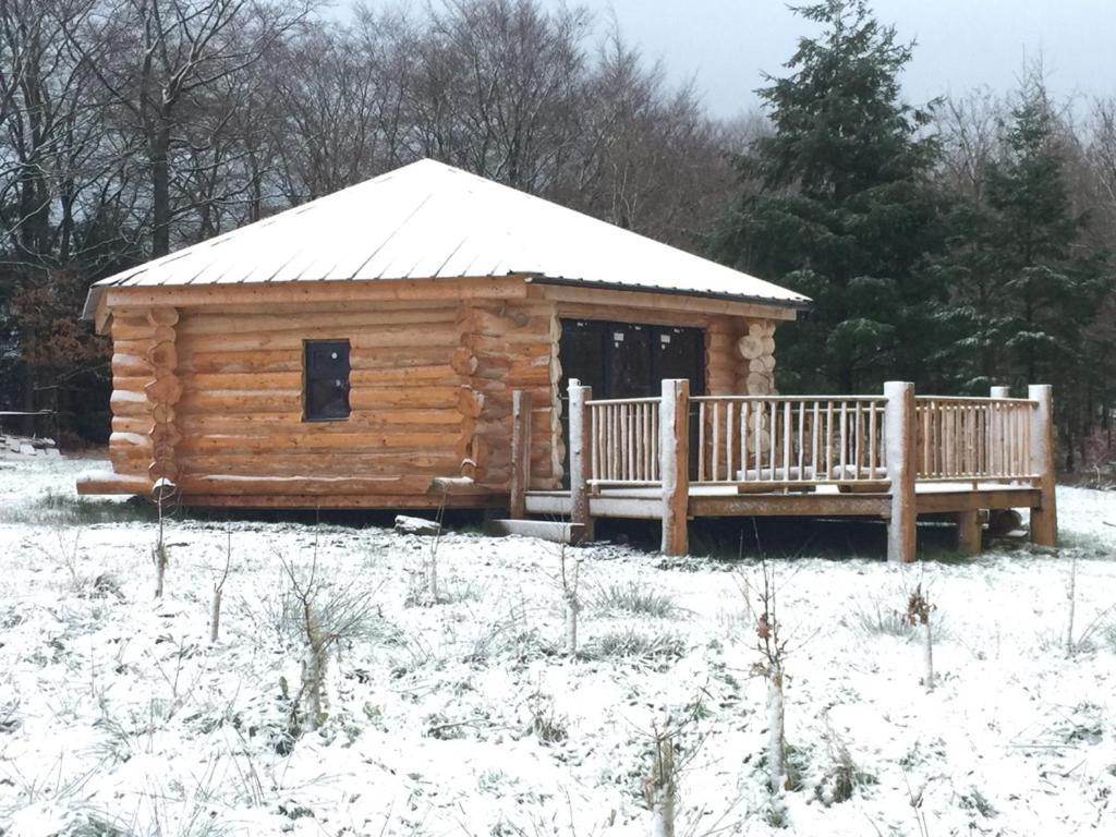 Coed Y Marchog Woodland Retreat Villa Hereford Exterior foto